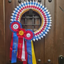 Ribbon Creation 7